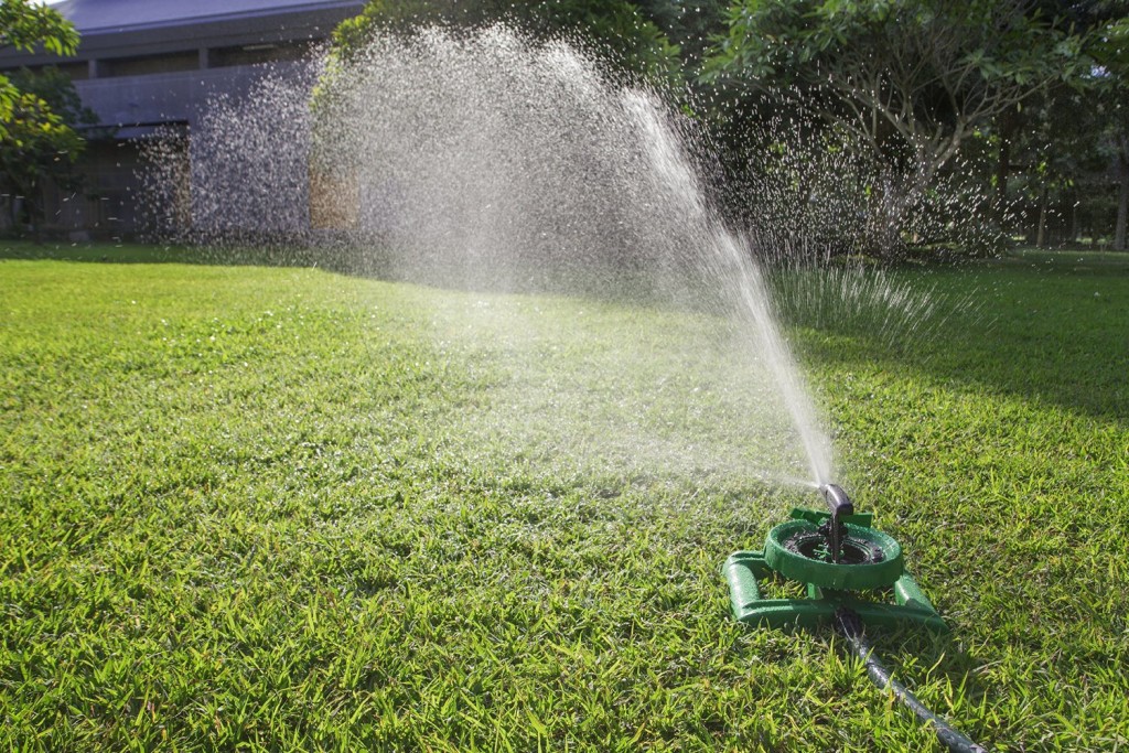 Watering Wisely for Lawn Care – Gardeners Share 5 Important Tips