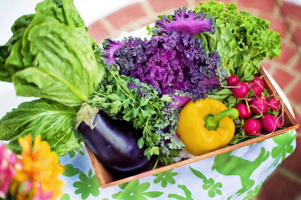 Starting A Vegetable Garden: Motivational Tips For Beginners