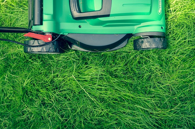 Easy Lawn Care? Experts Say It’s Possible With These Tips!