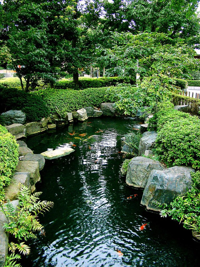 How To Build A Backyard Koi Pond | The Garden and Patio Home Guide
