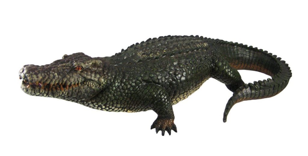 Alligator Decoy | The Garden And Patio Home Guide