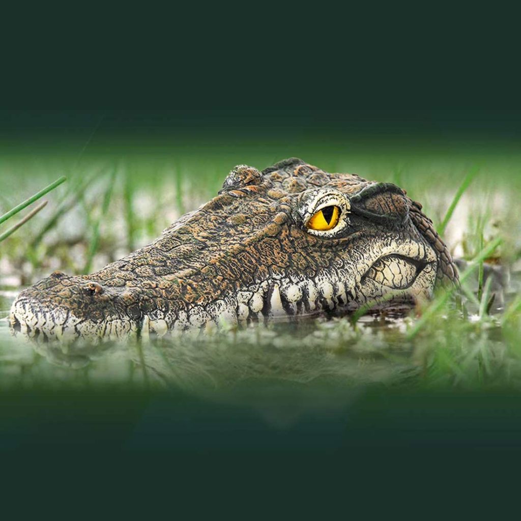 Alligator Decoy