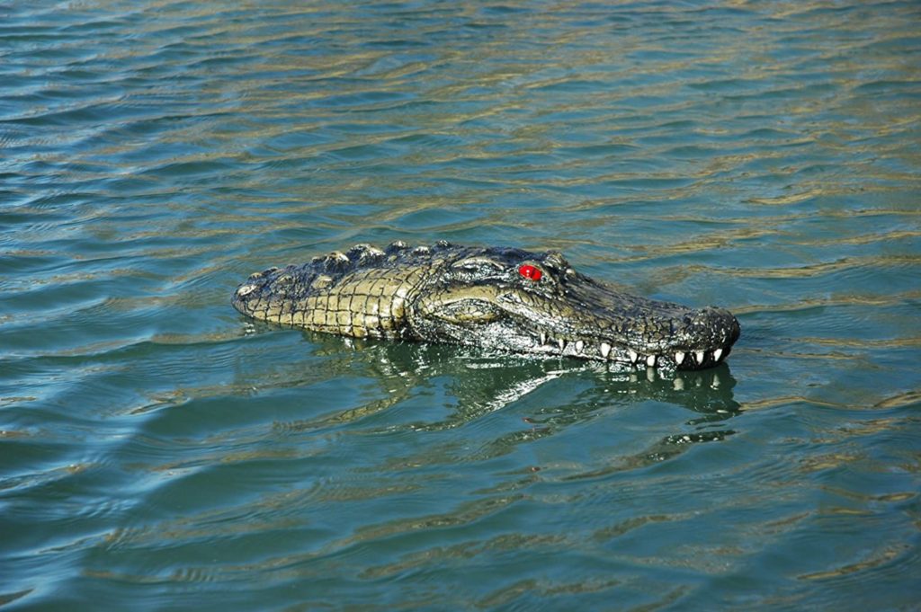 Alligator Decoy
