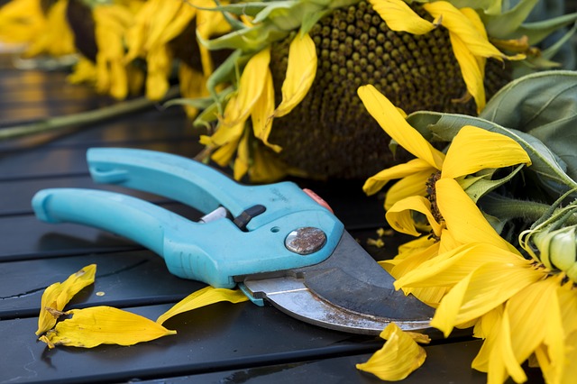 Common Gardening Injuries And How to Avoid Them
