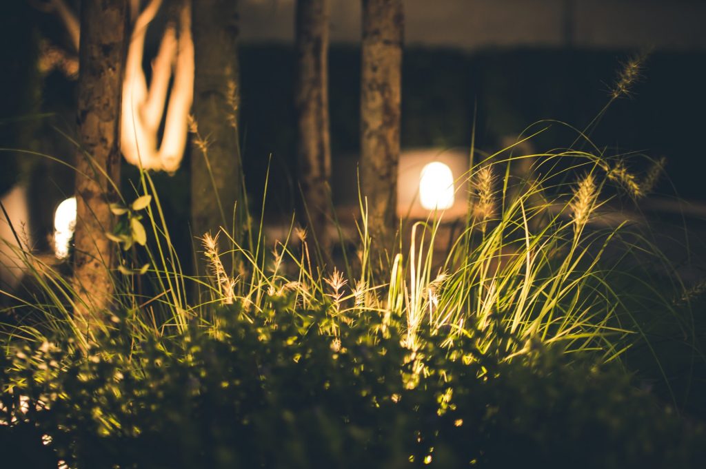 How To Design Your Outdoor Lighting Setup
