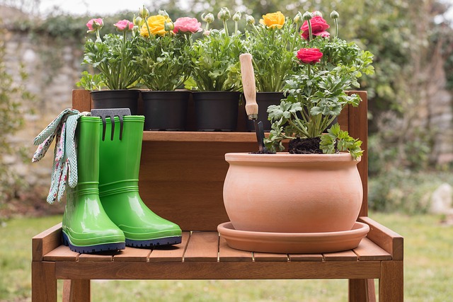 5 Eco-Unfriendly Things You Do That Kill Your Garden