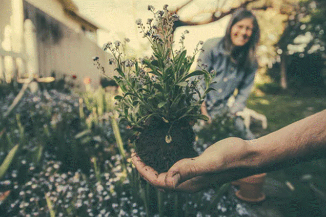 7 Reasons You Need to Start Gardening Now