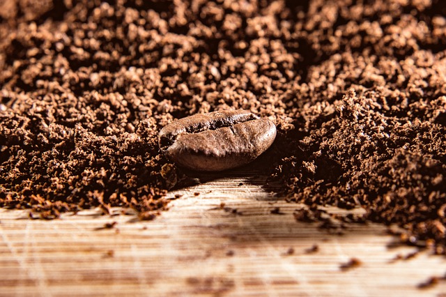 Are Coffee Grounds Good For Grass?
