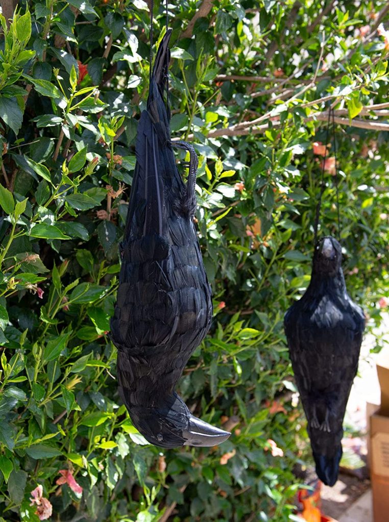 Dead Crow Decoy The Garden and Patio Home Guide