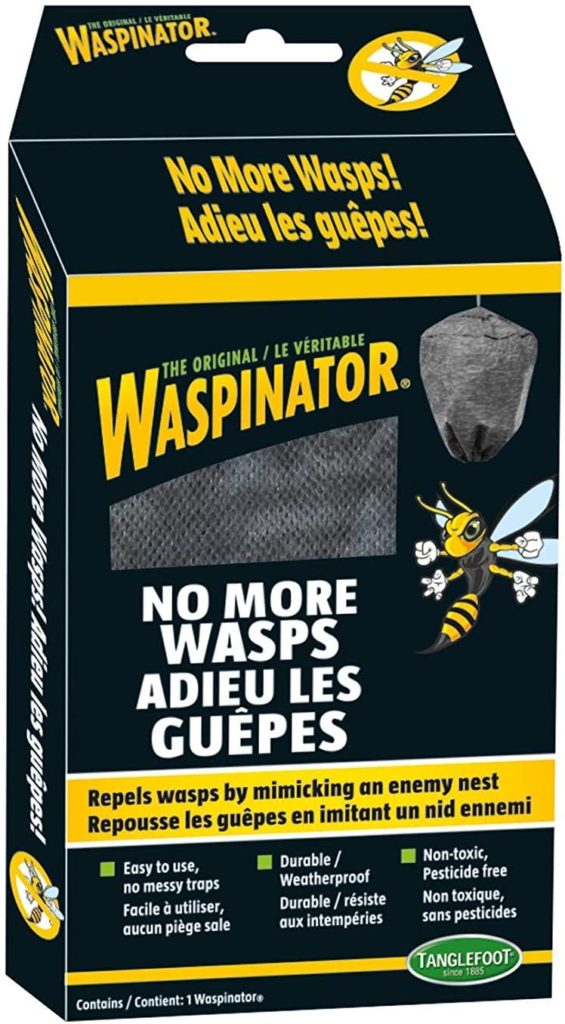 Fake Wasp Nest